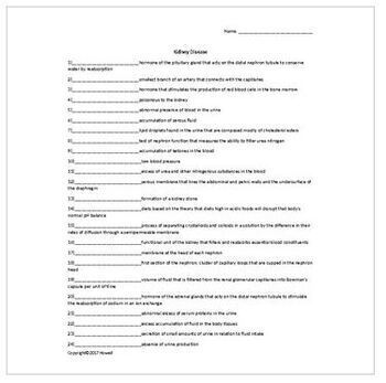 nutrition and health science worksheet review bundle for distance learning