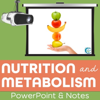 Preview of Nutrition and Metabolism PowerPoint and Notes