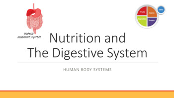 Preview of Nutrition and The Digestive System PPT and Notes
