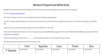 Preview of Nutrition for Pregnant Females MyPlate Activity (UPDATED)