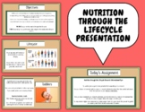 Nutrition through the Lifecycle Presentation