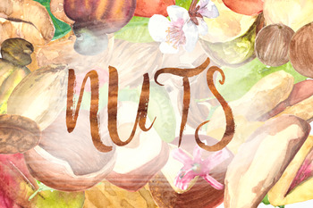 Preview of Nuts - Watercolor Clip Art Set