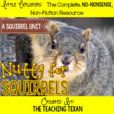 Nutty for Squirrels:  A Non-Fiction Squirrel Unit