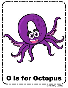 Octopus at Akron Zoo picks Cora as its name 