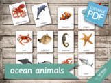 OCEAN ANIMALS • 22 Editable Montessori 3-part Cards • Flas
