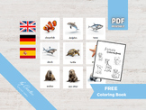 OCEAN ANIMALS • 32 Montessori Cards • German English Spani