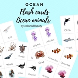 OCEAN ANIMALS flashcards by colorfullllstudy