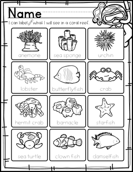 ocean theme activities for preschool pre k and kindergarten tpt