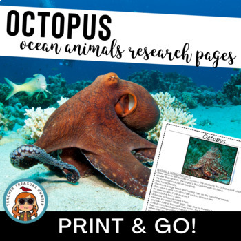 Preview of OCTOPUS Ocean Animals Research Report 1st grade second grade 3rd writing