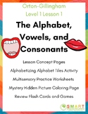 OG 1-1 The Alphabet, Vowels, & Consonants Lesson & Activit