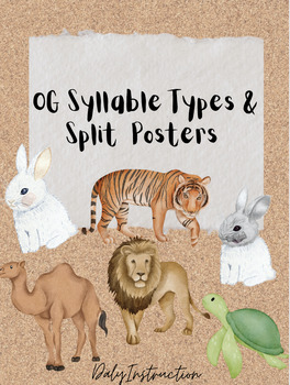 Preview of OG Syllable Types & Split Poster (Full Version)