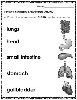 Human Body and Health for Class 5