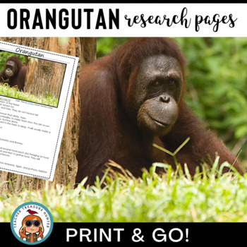 Preview of ORANGUTAN Research and Reading Pages Rainforest Animal Reports