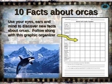 ORCA (Killer Whale) 10 facts. Fun, engaging PPT w links & 