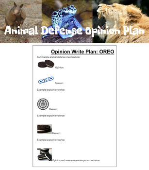 Preview of OREO Opinion Write Plan: Digital Animal defense topic