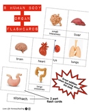 ORGAN 2 PART FLASH CARDS - NOMENCLATURE - HUMAN BODY (8 CARDS)