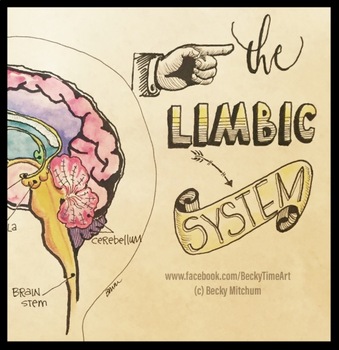 Preview of ORIGINAL ART - The Limbic System