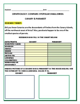 Preview of ORNITHOLOGY: COMPARE 2 SMALL BIRDS: CANARY & PARAKEET