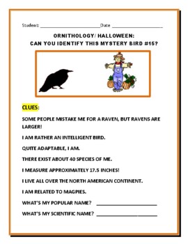 Preview of ORNITHOLOGY/ HALLOWEEN: CAN YOU IDENTIFY THIS MYSTERY BIRD #15? W/ANS.KEY