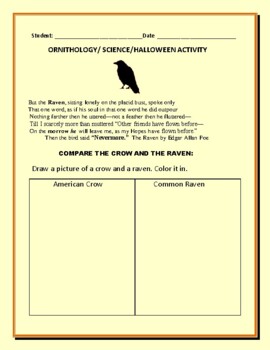 Preview of ORNITHOLOGY: THE CROW & THE RAVEN: A SCIENCE/ HALLOWEEN ART ACTIVITY