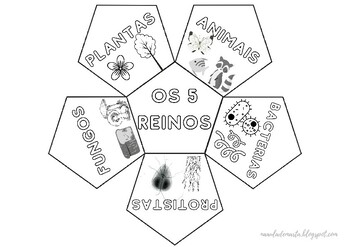 5 Reinos Teaching Resources | TPT