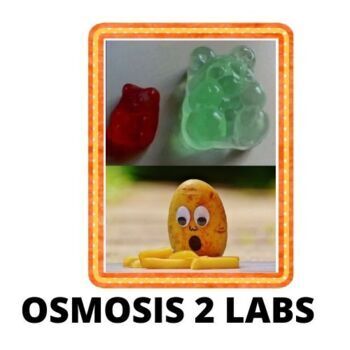 Preview of OSMOSIS Gummy Bear and Potato lab