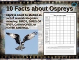 OSPREY: 10 facts. Fun, engaging PPT (w links & free graphi