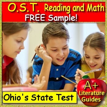 Preview of OST Ohio State Test Reading and Math AIR Free Sample