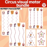 OT CIRCUS visual motor worksheets tracing & copying lines 