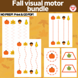 OT FALL visual motor worksheets: tracing/copying lines and
