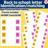 OT SCHOOL upper & lowercase letter recognition/matching wo