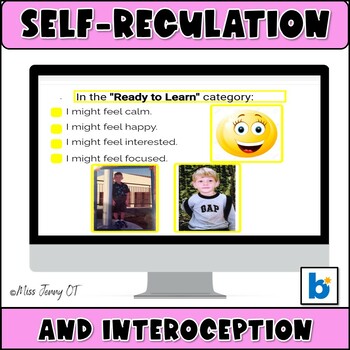 Preview of OT Self Regulation Activities Social Emotional Boom Cards