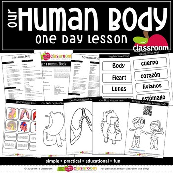 our human body preschool prek kindergarten 1 day lesson plan tpt