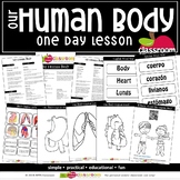 OUR HUMAN BODY Preschool PreK Kindergarten 1-Day Lesson Plan