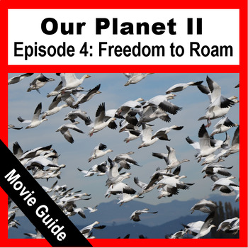 Preview of OUR PLANET 2: Freedom to Roam (S2:E4) | Video Guide | Netflix Series