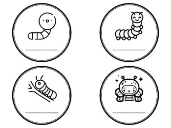 OUR SPANISH WORDS CATERPILLAR! Caterpillar Theme Bulletin Board Kit ...