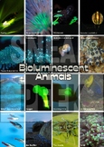 OVER 30!! BIOLOGY/GEOGRAPHY Classroom Posters A4 [ALL ABOU