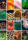 BUNDLE - OVER 30!! BIOLOGY/GEOGRAPHY Posters A4 [ALL ABOUT