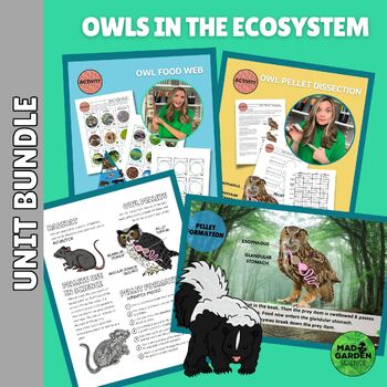 Preview of OWL ECOSYSTEM Bundle: Illustrated Notes | Pellet Dissection | Slides & More!