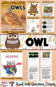 All About Owls Nonfiction Unit by Spatial Projects | TpT