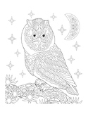 OWL ZENTANGLE COLORING, 2 PAGES, OWL ACTIVITIES, MINDFULNE