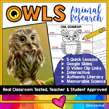 Preview of OWLS  . 5 days of engaging animal research . Fall or Halloween activities FUN
