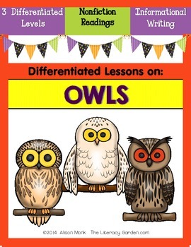 Preview of OWLS Differentiated Reading & Writing Unit 
