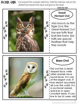 OWL FACTS and More by Growing Smart Readers | Teachers Pay Teachers