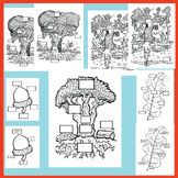 Oak Tree, Acorn, and Leaf Diagrams