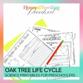 Oak Tree Life Cycle Activity Sheets