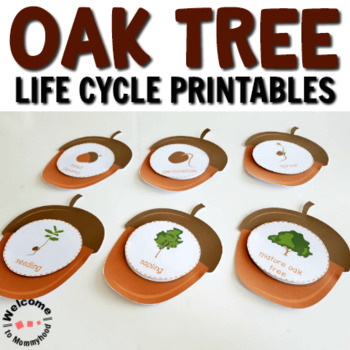 Preview of Oak Tree Life Cycle Printables for Fall Activities