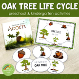 Oak Tree Life Cycle Set - Preschool & Kindergarten  Scienc