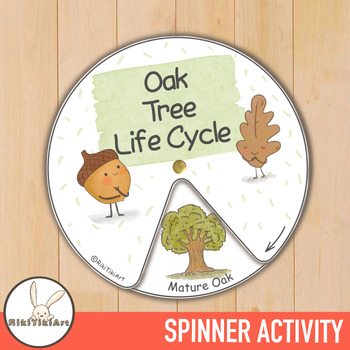 Preview of Oak Tree Life Cycle Spinner Activity Acorn Study Fall Homeschool Materials