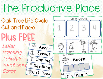 Preview of Oak Tree life Cycle a Cut and Paste Acorn Activity